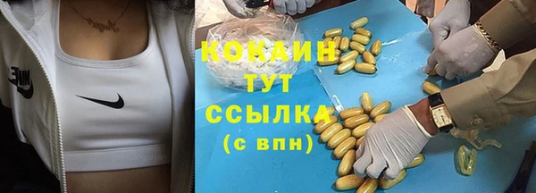 гашик Медвежьегорск